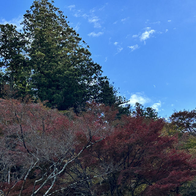 香嵐渓 