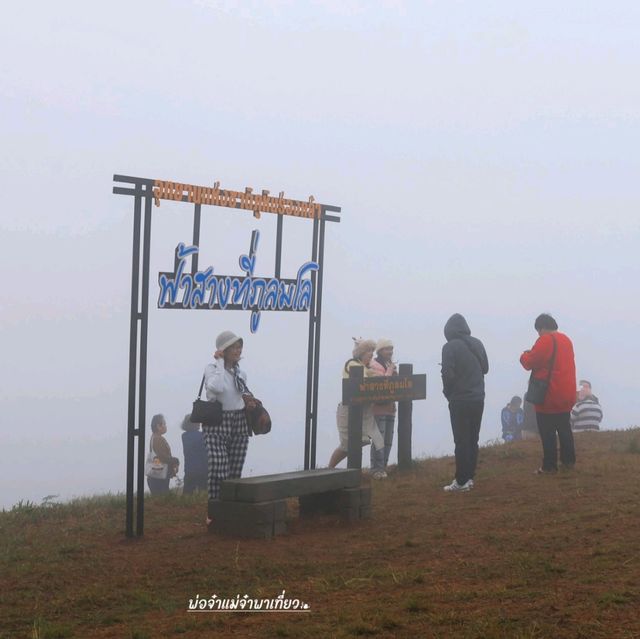 ฟ้าสางที่ภูลมโล อุทยานแห่งชาติภูหินร่องกล้า