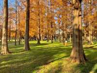 The largest park in Tokyo