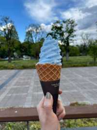 東京で絶景ネモフィラ！無料で楽しめる！舎人公園