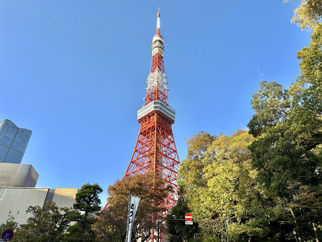 永遠的經典地標-東京鐵塔