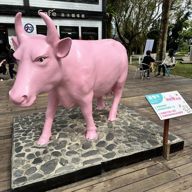 餐廳推薦：沐牧義式廚房