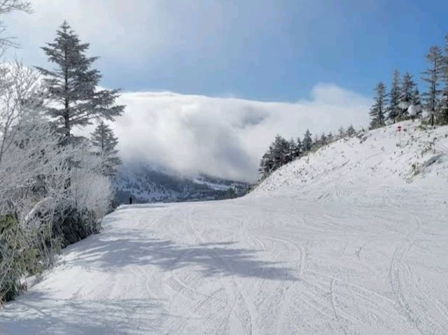 Shiga Kogen