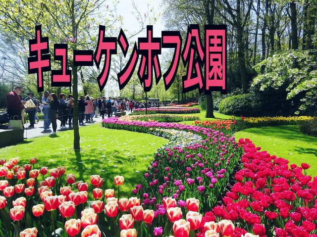 【オランダ】キューケンホフ公園🌷