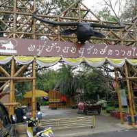หมู่บ้านอนุรักษ์ควายไทย 