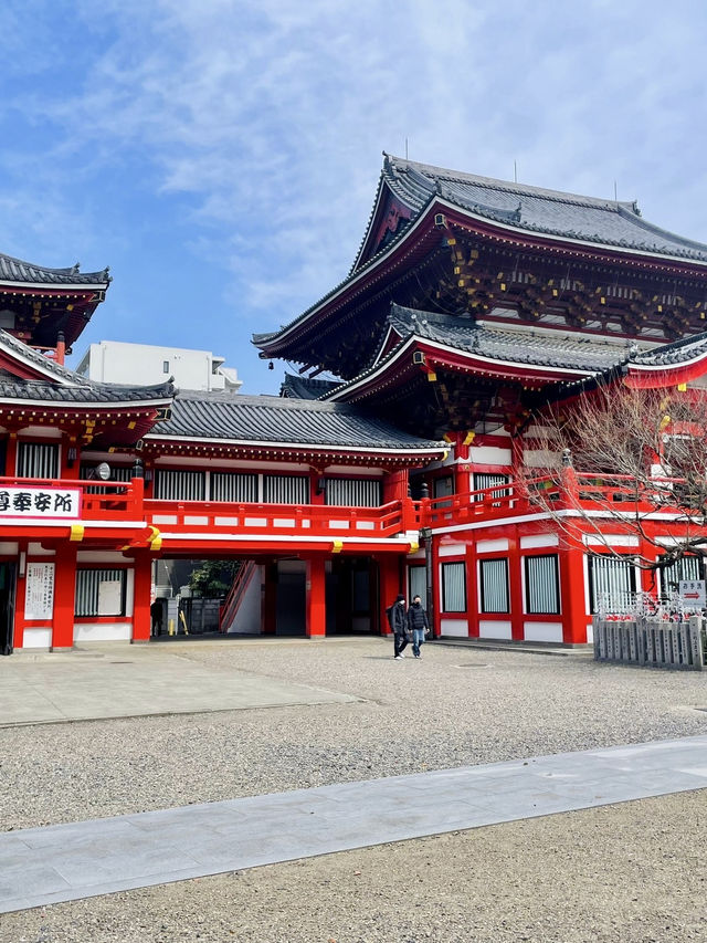 Early Cherry Blossom 2024 in Nagoya 