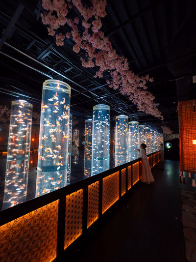 幻想空間が桜に染まる！🌸】アートアクアリウムの春の企画展がとても