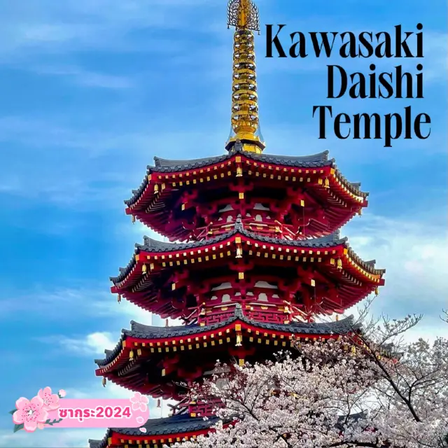 ชมซากุระ ไหว้พระขอพร ที่วัด Kawasaki Daishi