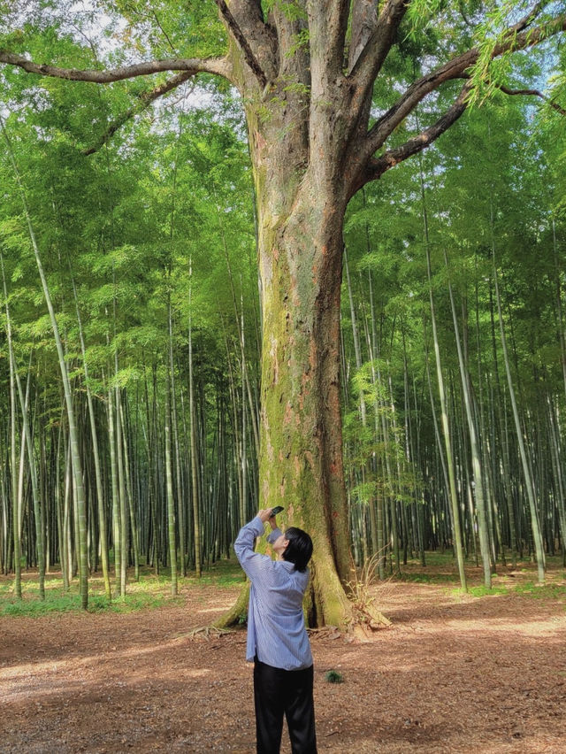 【デートにおすすめ🎋若山農場】