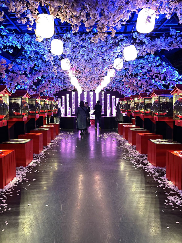 【アートアクアリウム美術館 GINZA /東京都】春を先取り！幻想的空間の桜と金魚