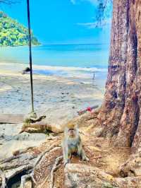 Penang National Park 