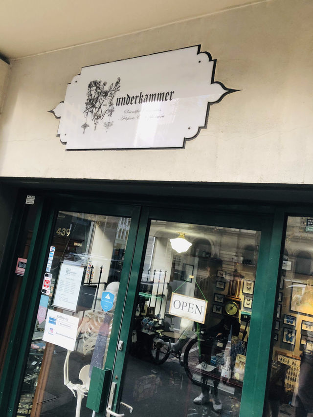 【澳洲墨爾本】Wunderkammer標本店：動物、寵物、昆蟲