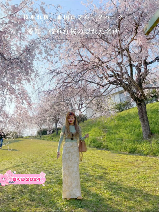 愛知　枝垂れ桜の隠れた名所　東谷山フルーツパーク