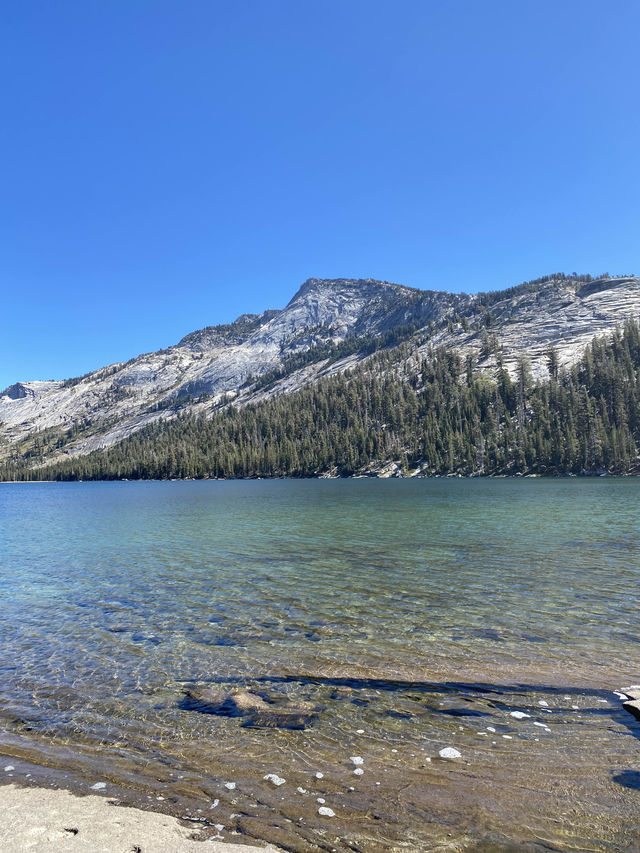 ดื่มด่ำธรรมชาติที่ Yosemite National Park ⛰️