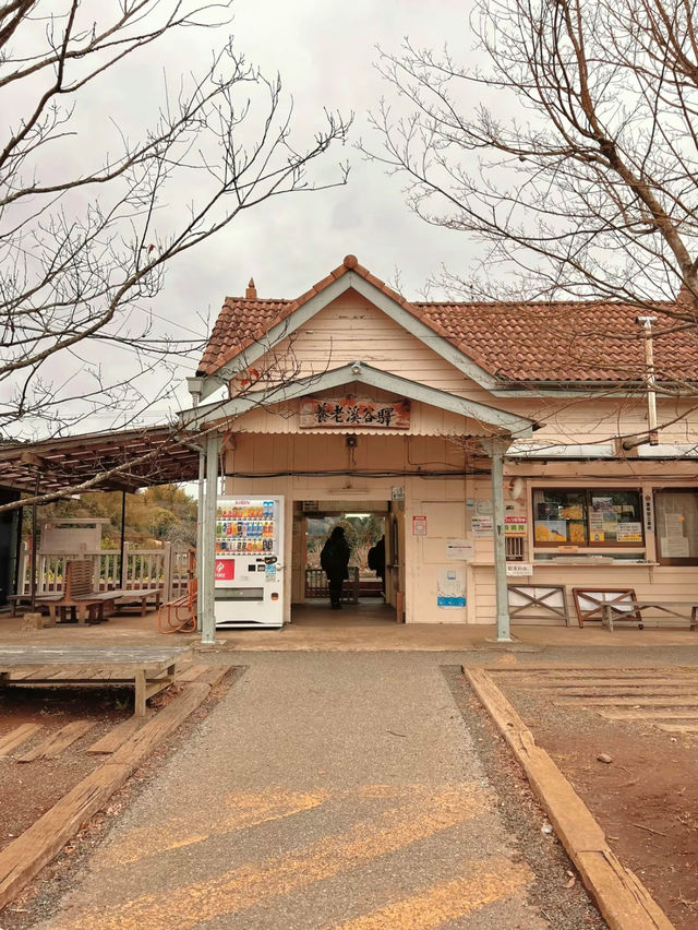 【千葉】9割が知らない?!超穴場スポット🤎チョコレートカラーの足湯のあるレトロ駅
