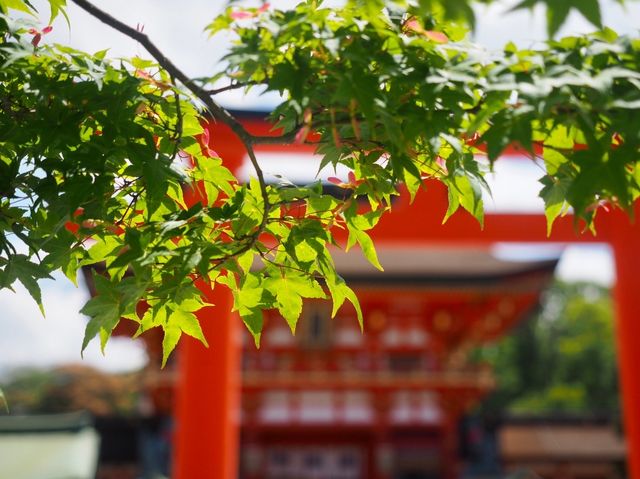 【千本鳥居は圧巻★】伏見稲荷大社