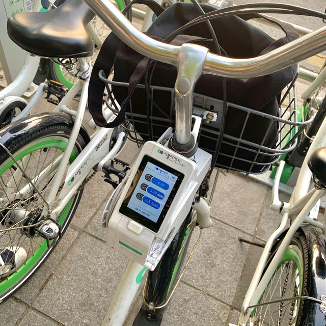 봄에는 자전거타며 서울여행🚲