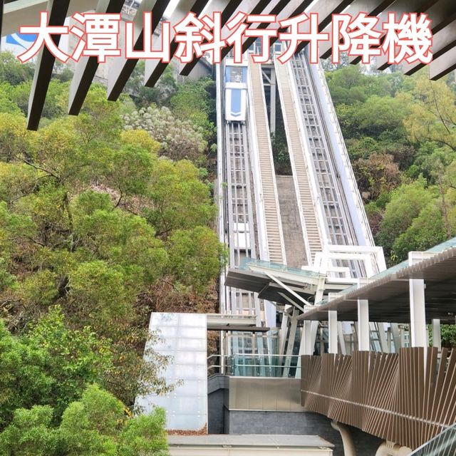 官也街+大潭山斜行升降機(買手信+高處遠眺整個澳門景色)