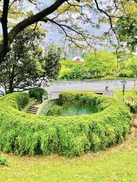 Fort Canning Tree Tunnel