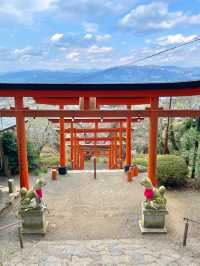 【福岡】連なる鳥居の先にある見晴らしのいい神社