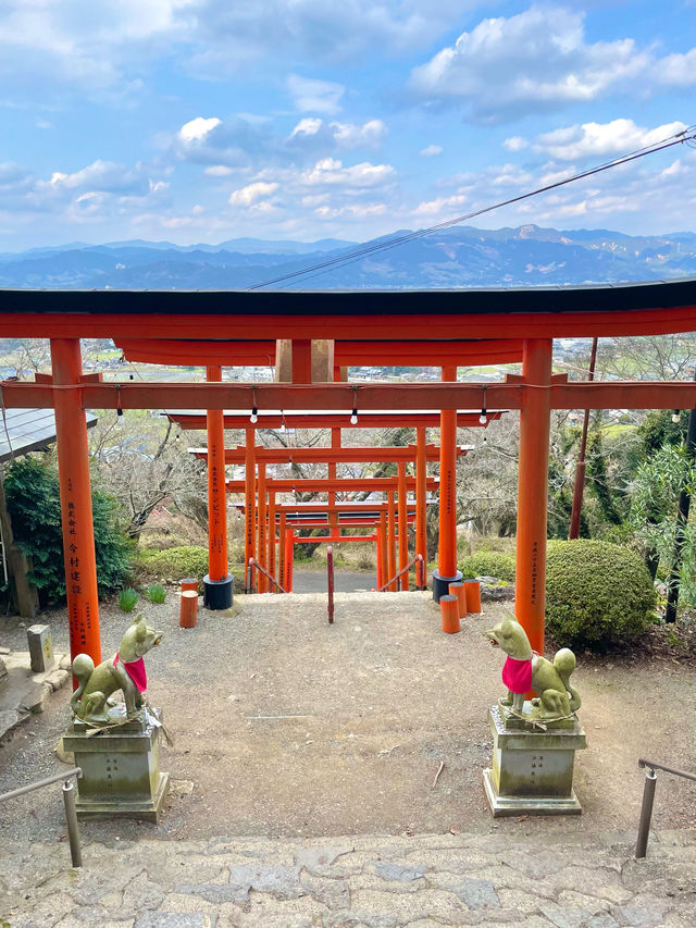 【福岡】連なる鳥居の先にある見晴らしのいい神社