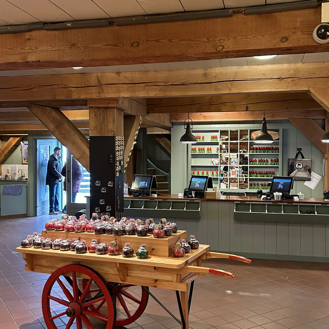 네덜란드 전통 치즈의 모든 것, Catharina Hoeve🧀