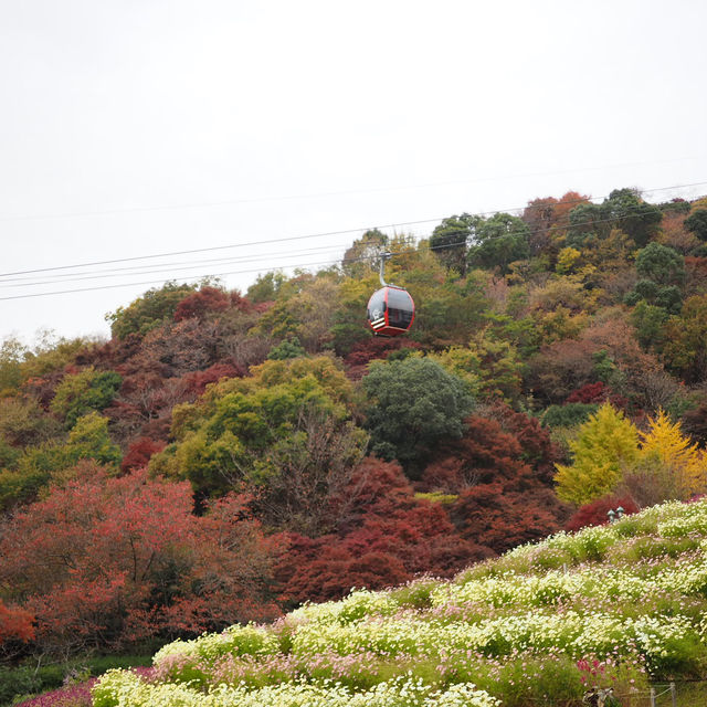 Kobe Nunobiki Herb Gardens&Ropeway