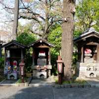 🌸วัด Sensoji (วัด Asakusa)🎍