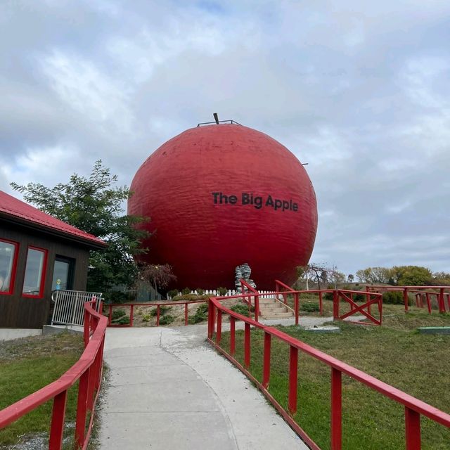 🌸❣️The Big Apple Farm