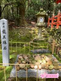 【奈良県】春日五代龍神めぐり「龍王珠石」