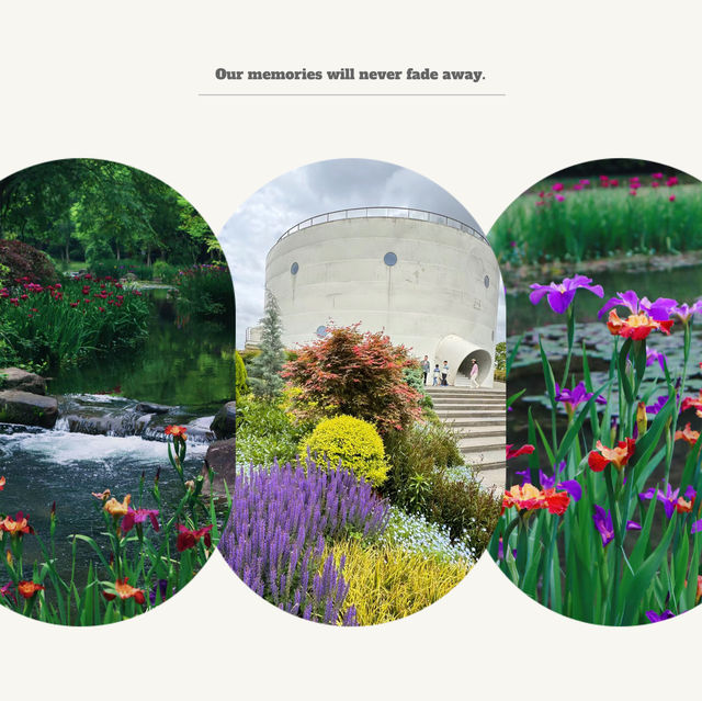 湊山公園：春天好去處，感受日式風韻
