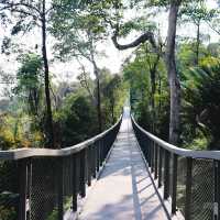 The Habitat Penang Hill