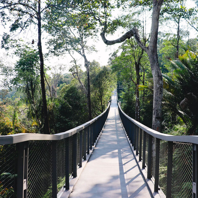 The Habitat Penang Hill