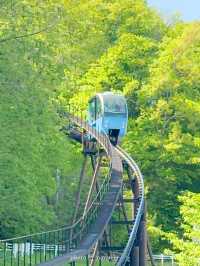 【長野/篠ノ井】めちゃくちゃかわいいモノレール🚝韓国のみたい 