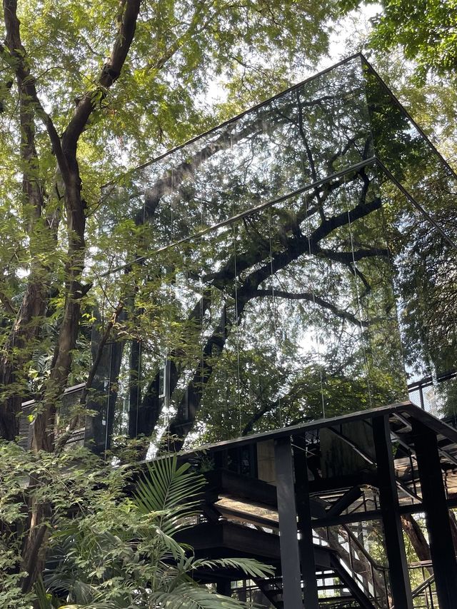 🌿🌞"咖啡狂迷必訪：曼谷綠意森林咖啡館🌳☕️"