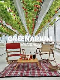 【淡路島】いちごを見上げながらピクニック『GREENARIUM』🍓