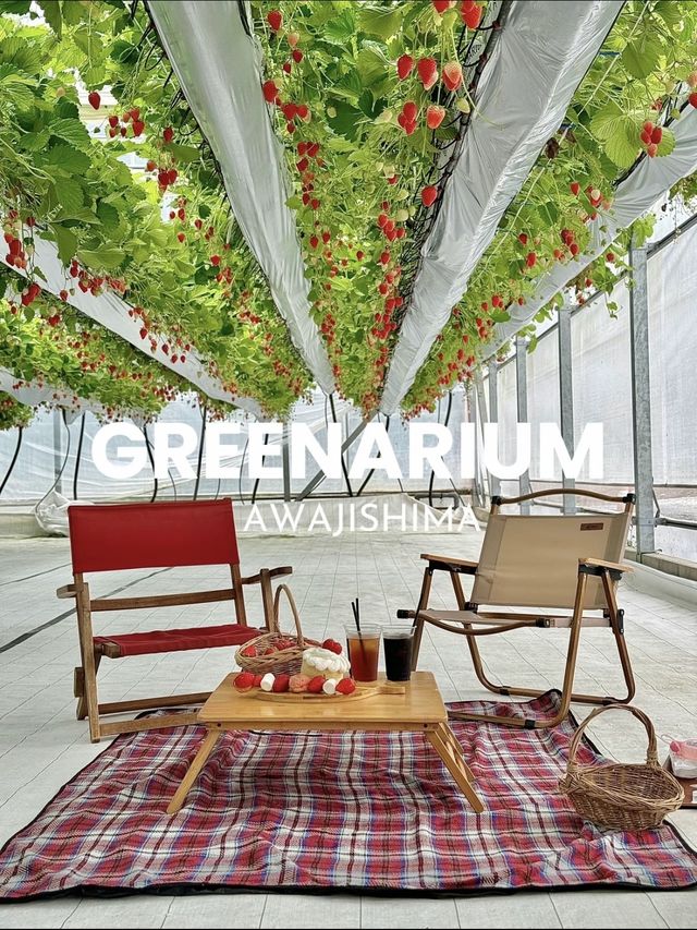 【淡路島】いちごを見上げながらピクニック『GREENARIUM』🍓