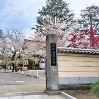 夏旅は東京へ行こう💠東京上野でお寺巡り『寛永寺』