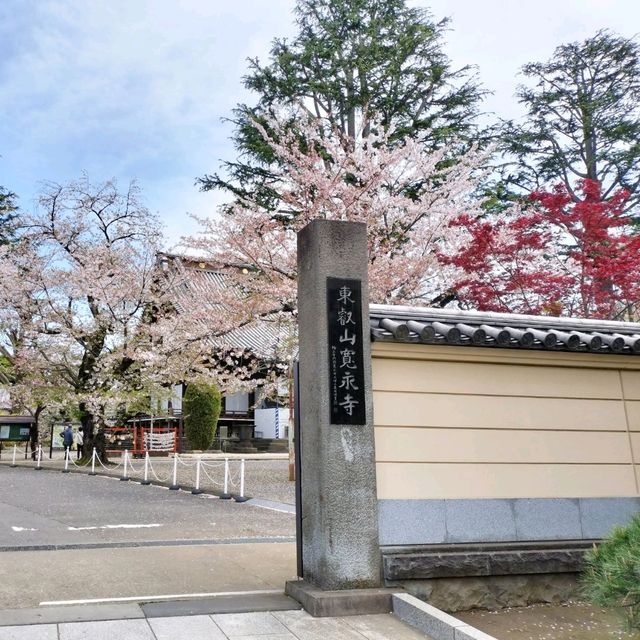 夏旅は東京へ行こう💠東京上野でお寺巡り『寛永寺』