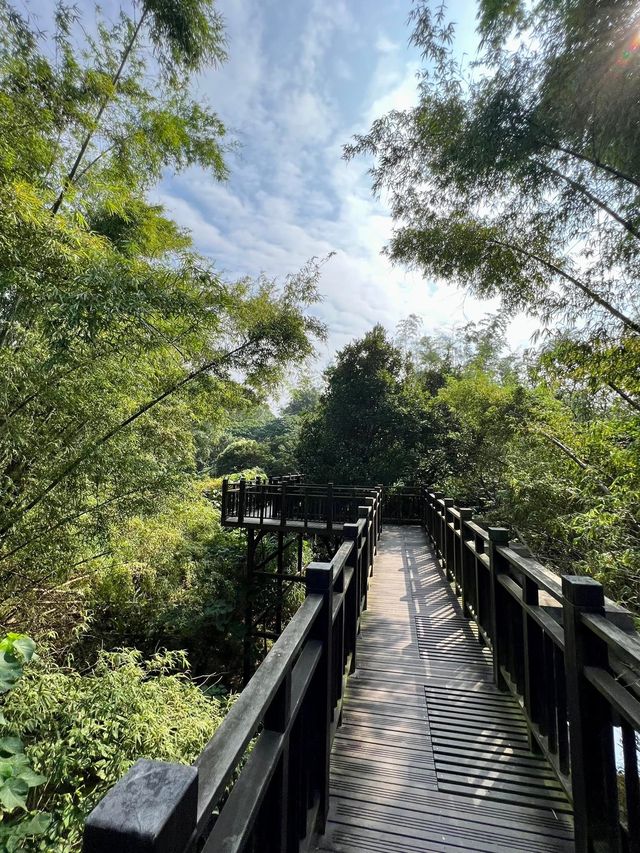 台中親民健行步道