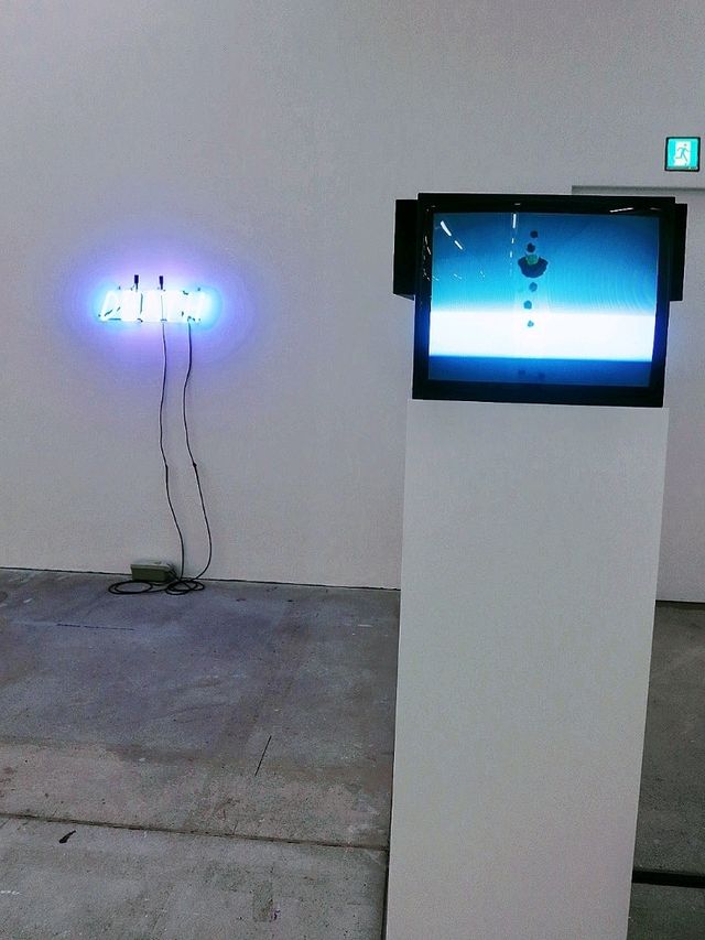 大館當代美術館的「布魯斯・瑙曼」（Bruce Nauman）