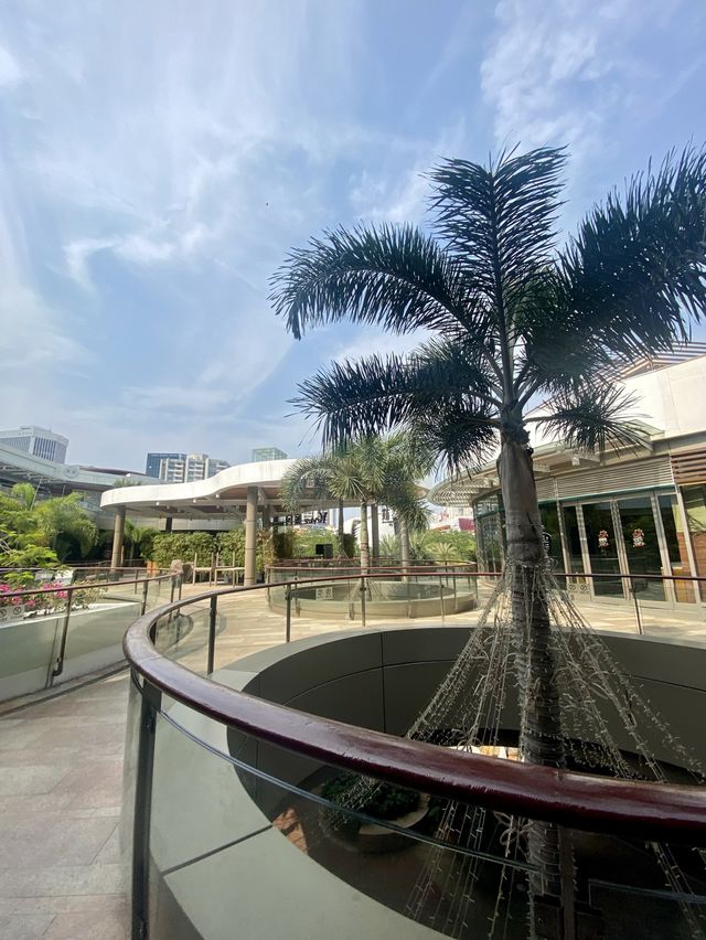 【深圳海上世界站】日與夜☀️之椰林樹影🌴休閒小歐陸海岸風情