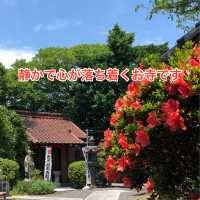 知多半島の旅　「三州高浜鬼みち」を辿る