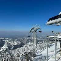 札幌國際滑雪場：豐富滑雪體驗