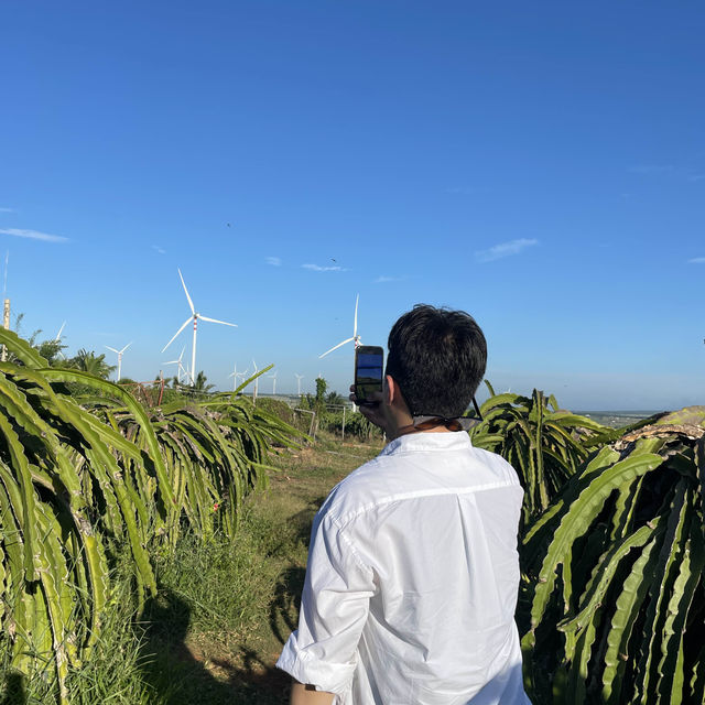 무이네 필수코스 지프투어 여기서!🚗☀️