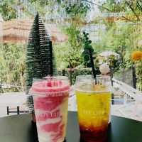 It my life cafe X camp