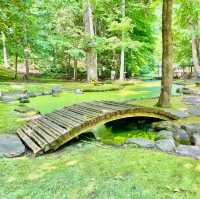 Nature's Haven in Asahikawa