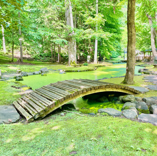 Nature's Haven in Asahikawa