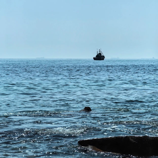 閑麗海上國立公園～細味海洋