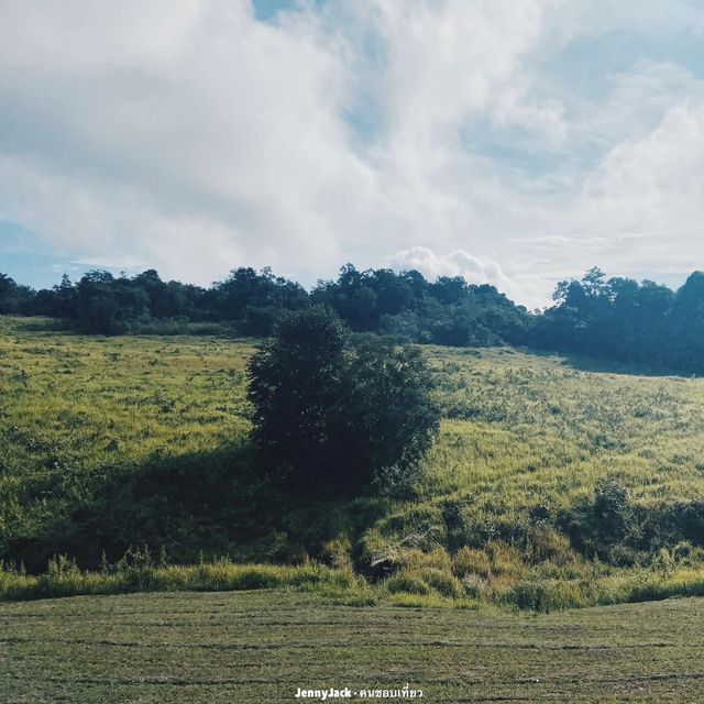 เขาใหญ่ เที่ยวได้ทั้งปี #อุทยานแห่งชาติเขาใหญ่ 